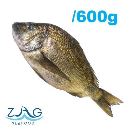 Australian Silver Bream (Whole)