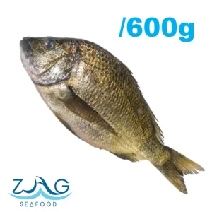 Australian Silver Bream (Whole)