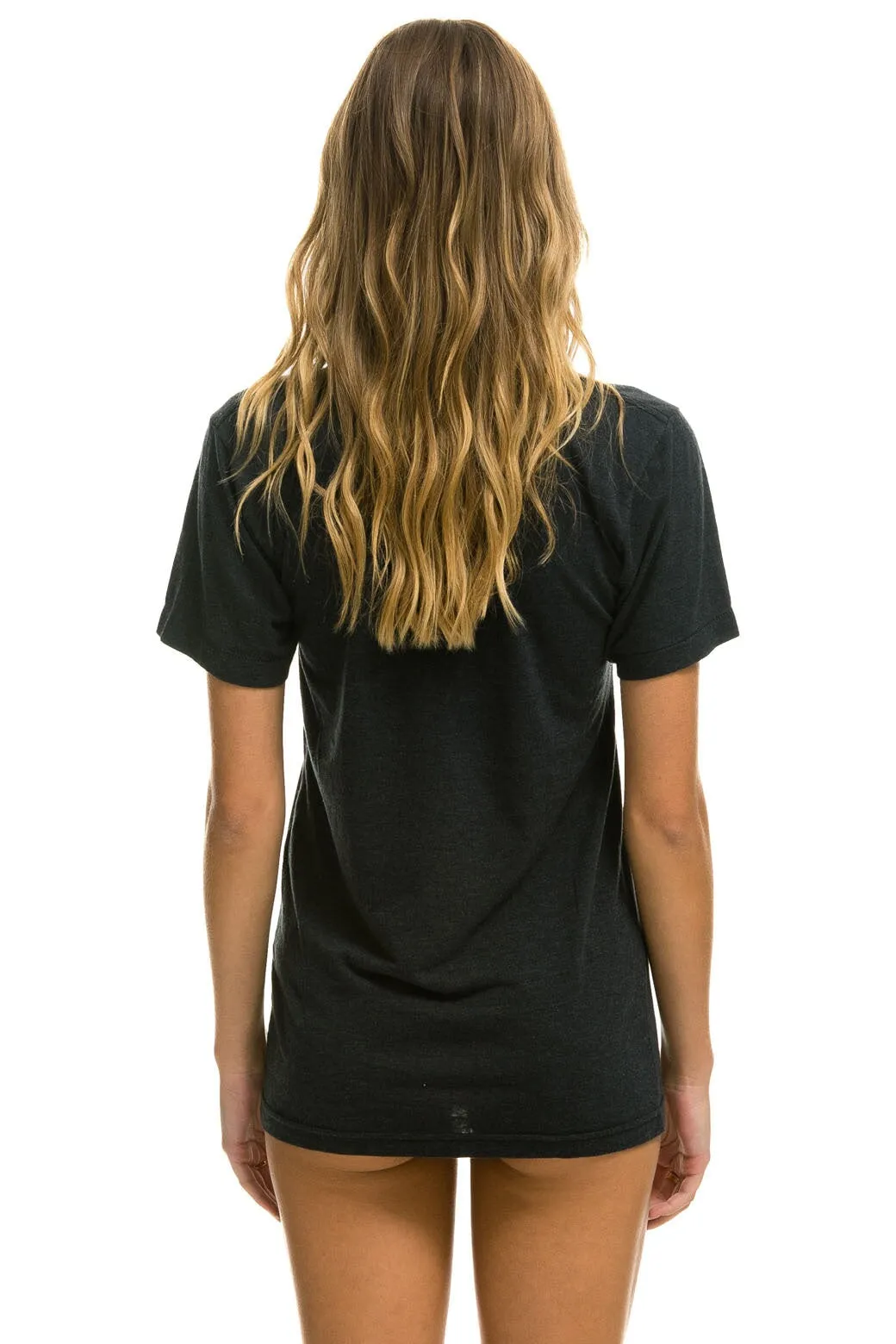 AVIATOR NATION LAGUNA BEACH TEE - CHARCOAL