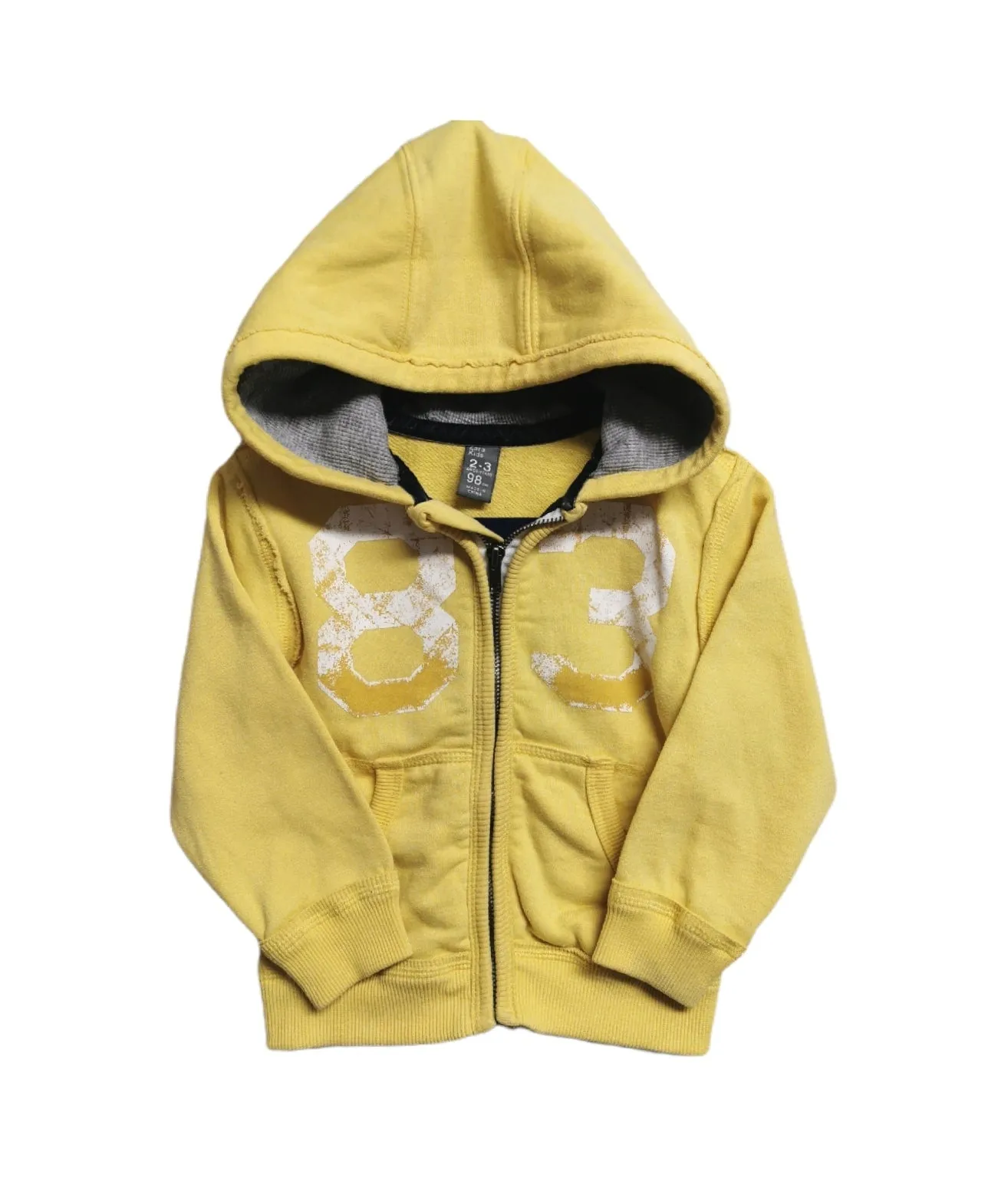 BOY SIZE 2/3 YEARS - ZARA Kids, Vintage Style Zippered Hoodie VGUC B29