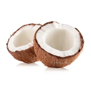 Coconut