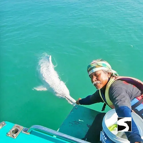Cruise Ship Tour Pink Dolphins Khanom