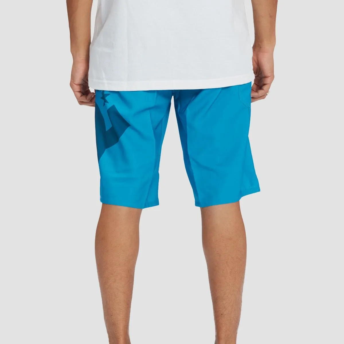 DC Lanai 22" Boardshorts Hawaiian Ocean