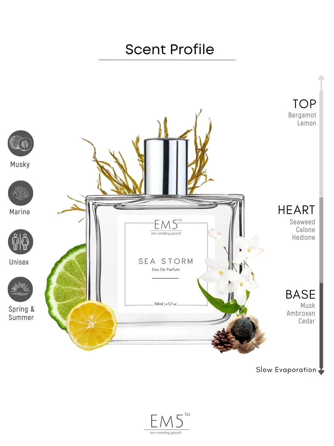 EM5™ Sea Storm Unisex Perfume EDP Spray | Amber Aquatic Fresh Marine Fragrance | For Men & Women | Luxury Gift for Him / Her | Variants  Available: 50 ml Spray / 15 ml Spray