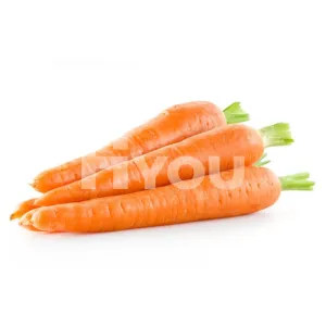 Fresh Carrot ~ 新鮮胡蘿蔔