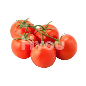 Fresh Vine Tomato 1kg ~ 新鮮番茄 1kg