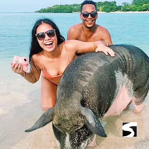 Koh Samui Pink Dolphin tour Khanom