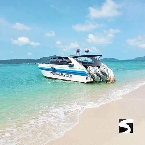 Koh Samui Pink Dolphin tour Khanom