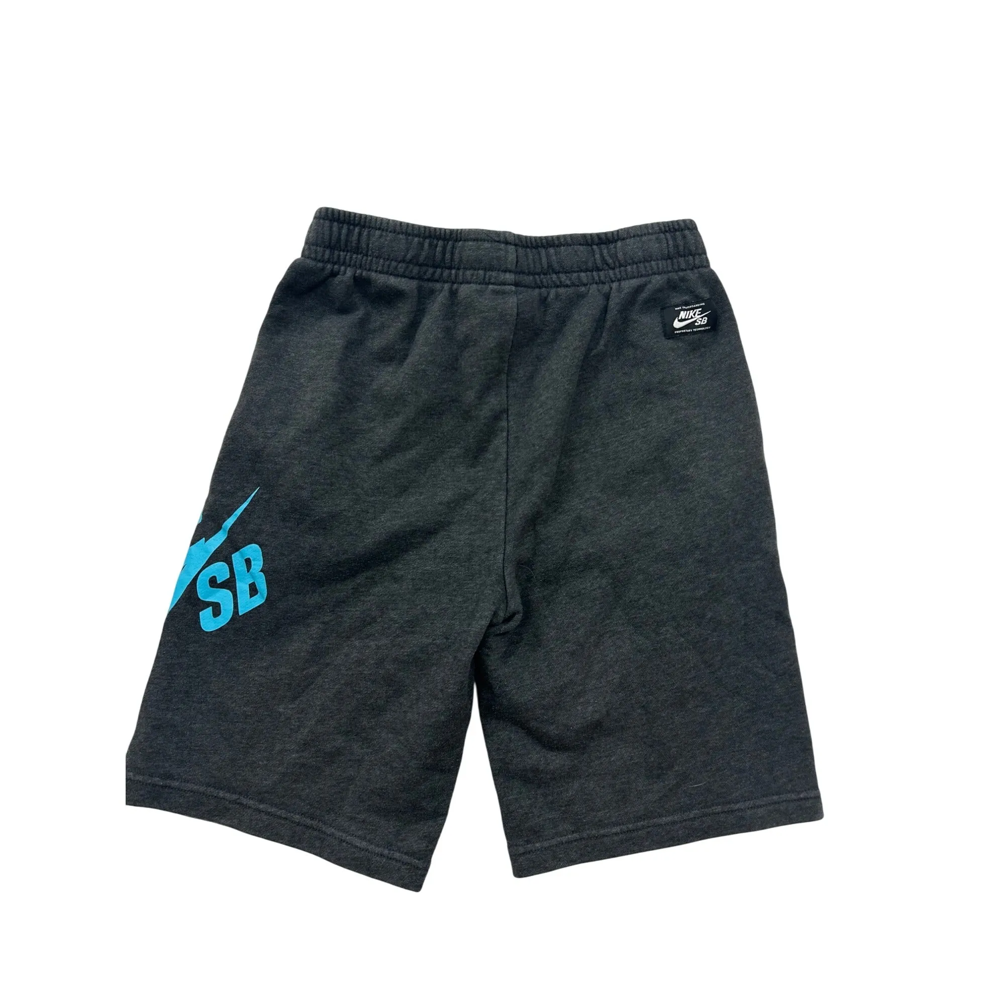 Nike SB Gray Shorts With Blue Logo Print Skateboarding Style #6989