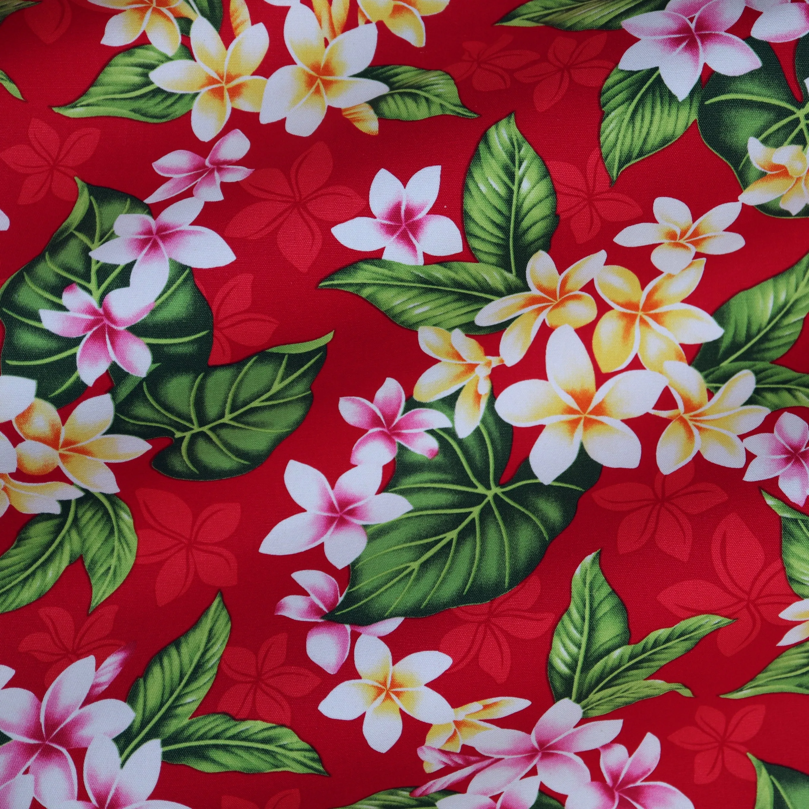 Oxford Prints