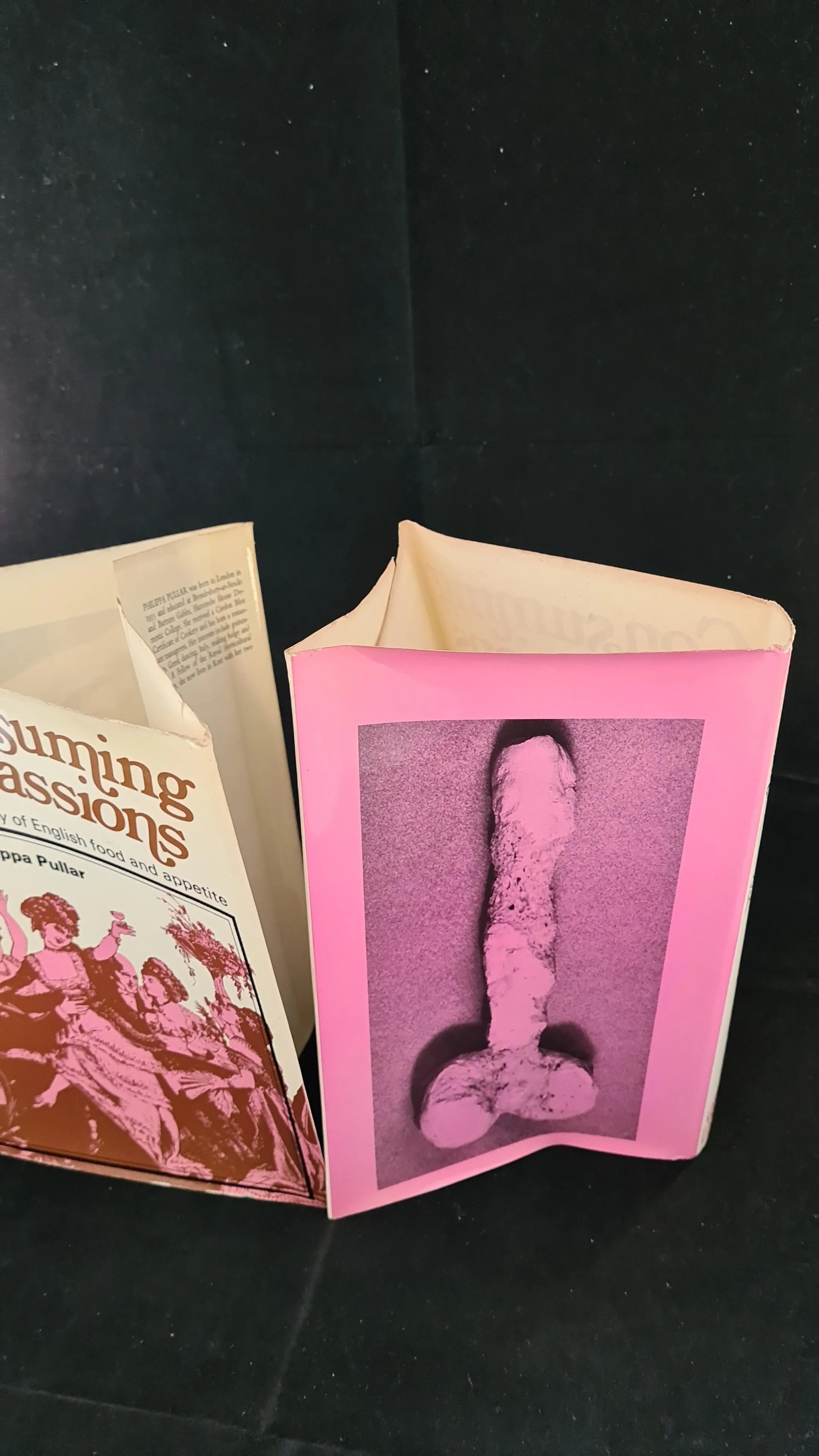 Philippa Pullar - Consuming Passions, Hamish Hamilton, 1970, First Edition, Original jacket