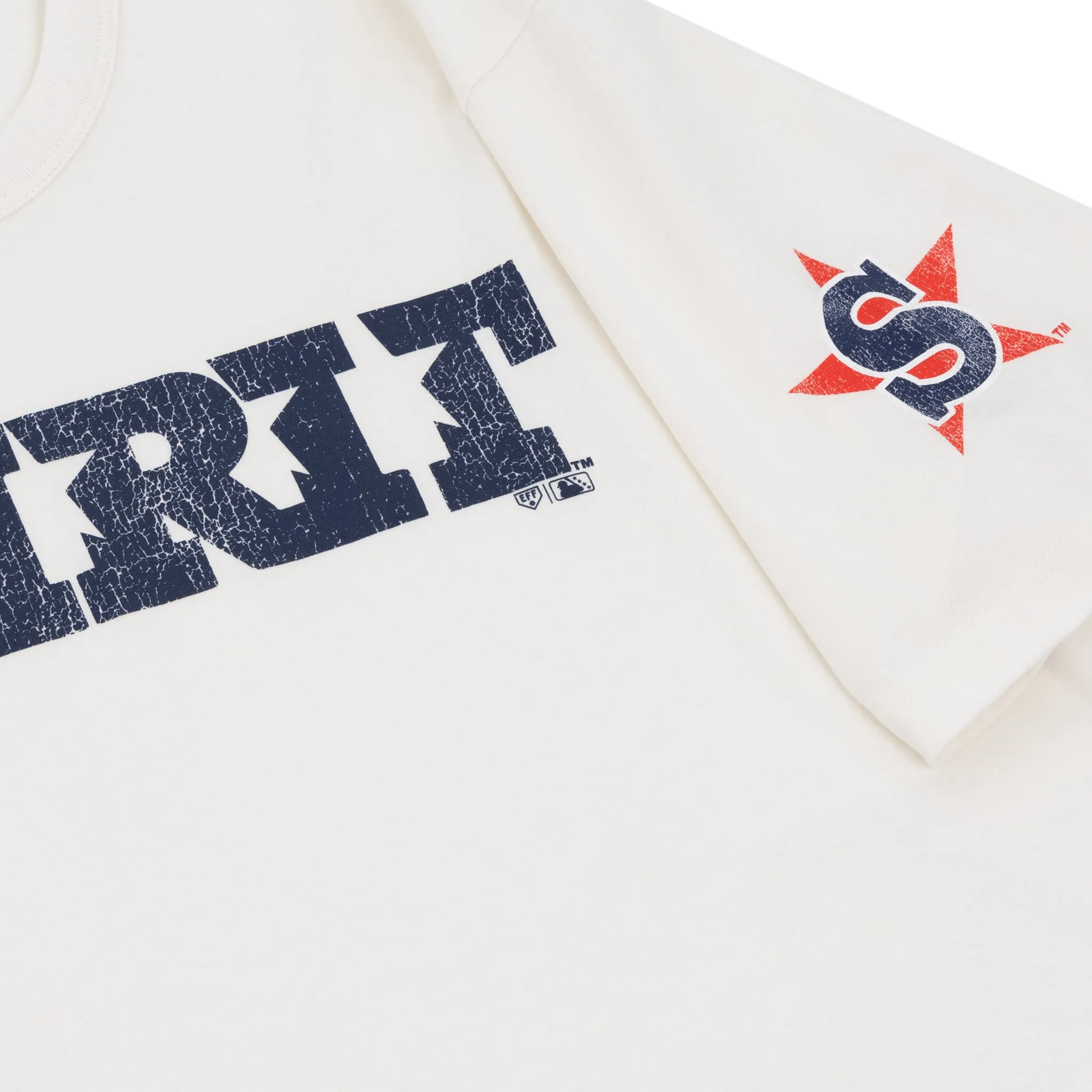 San Bernardino Spirit EFF MiLB Vintage T-Shirt