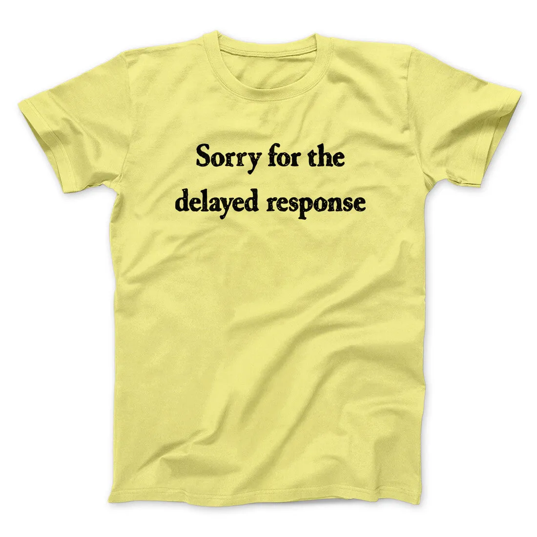 Sorry For The Delayed Response Funny Men/Unisex T-Shirt