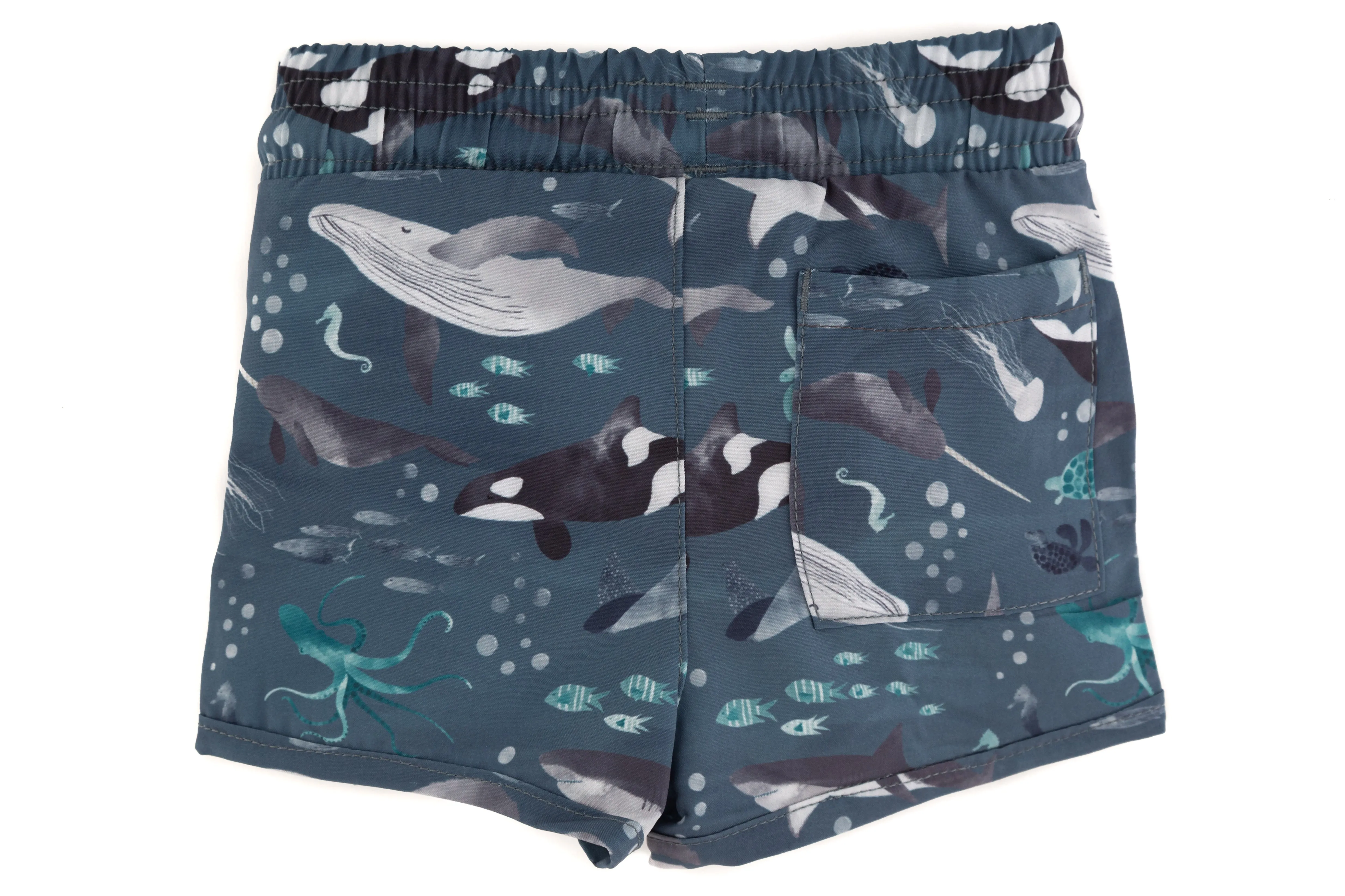 The "Finn" Trunks