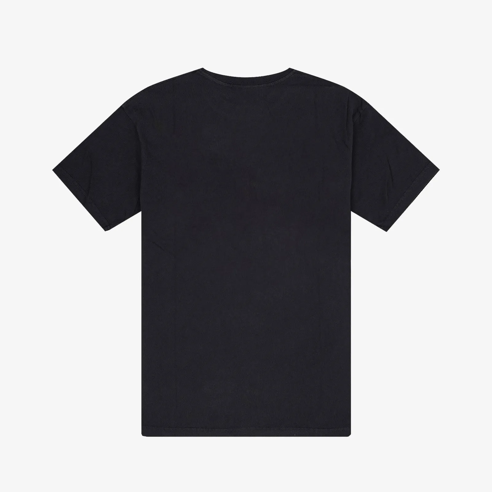 Vancouver Grizzlies Hoop Tee - Faded Black