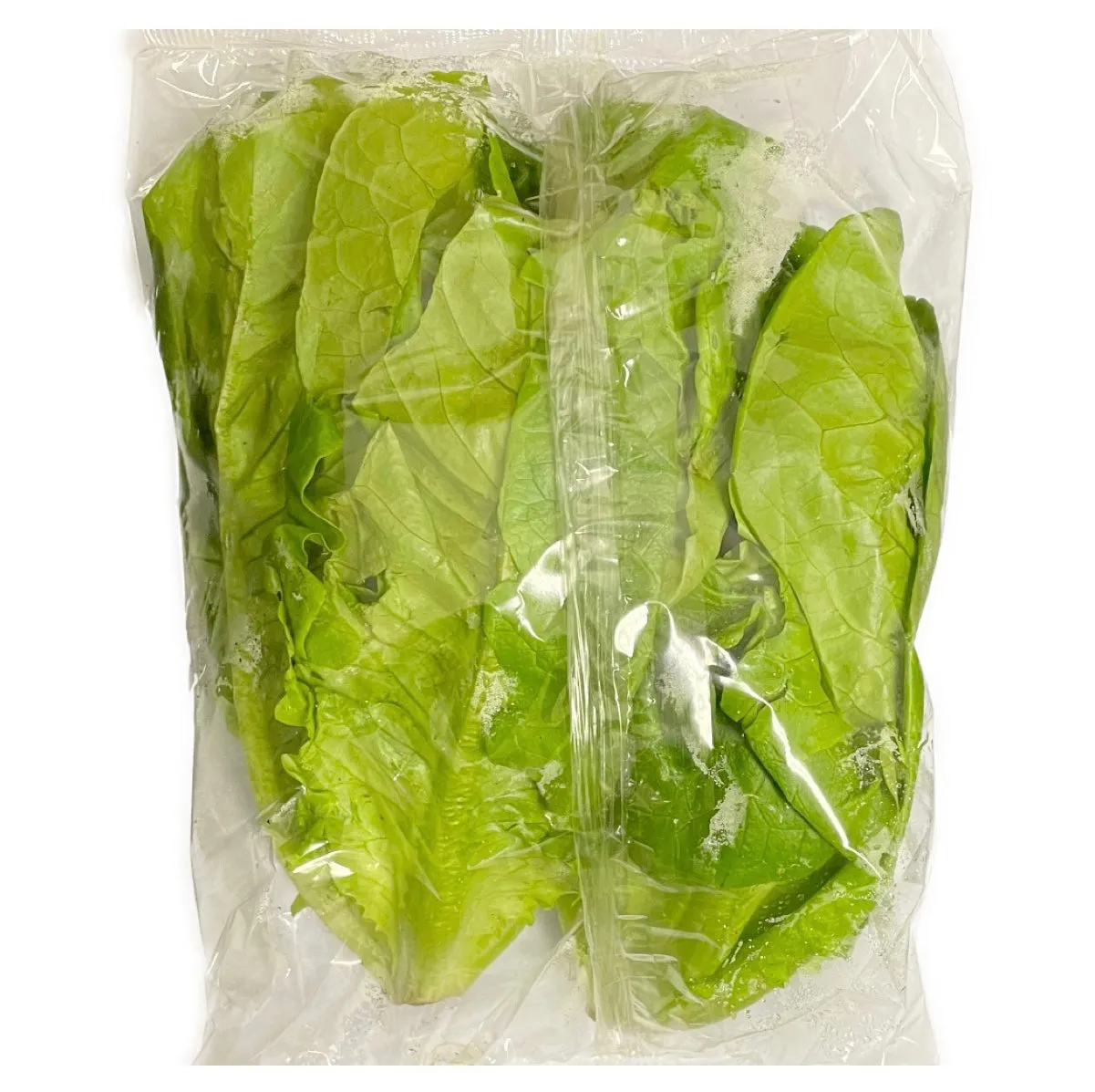Watts Farms Little Gem (Pack of 2)