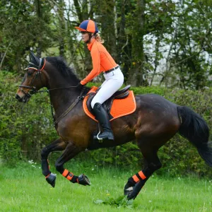 Woof Wear Performance Riding Shirts