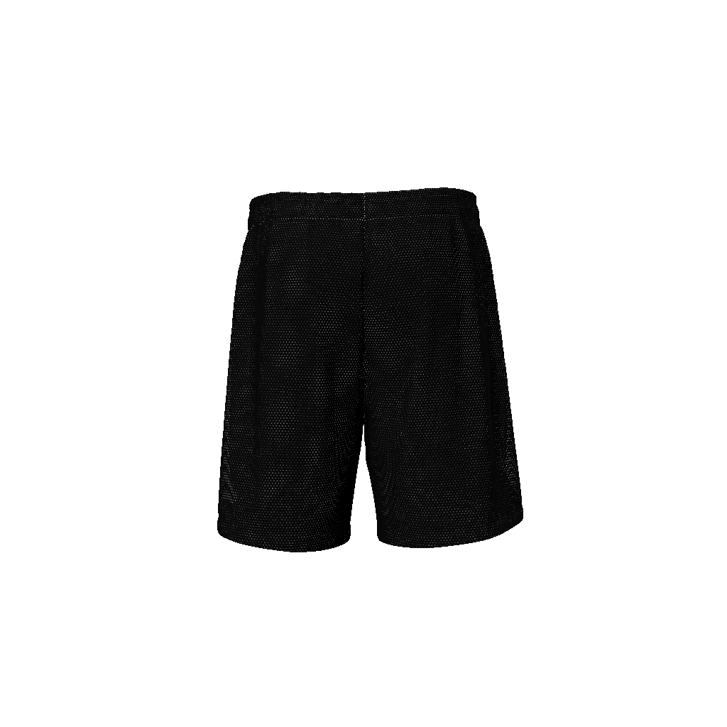 World Tour Shorts